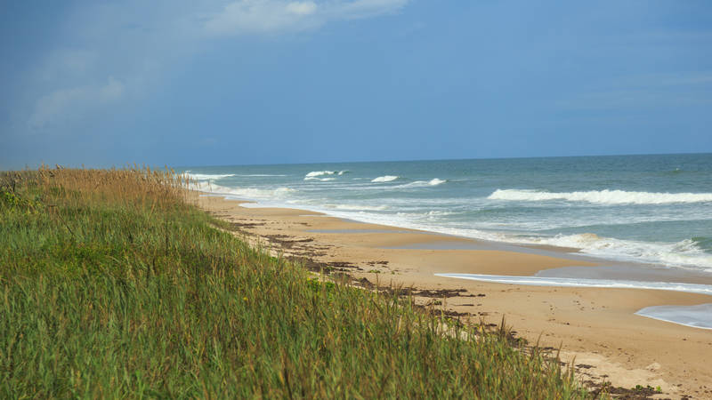 canaveral national seashore national park