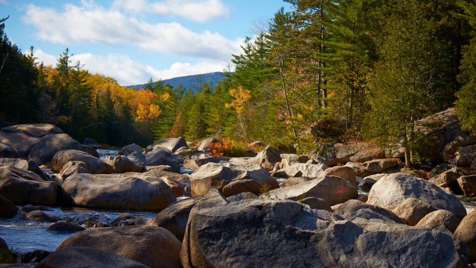 Image result for Katahdin Woods and Waters National Monument pictures