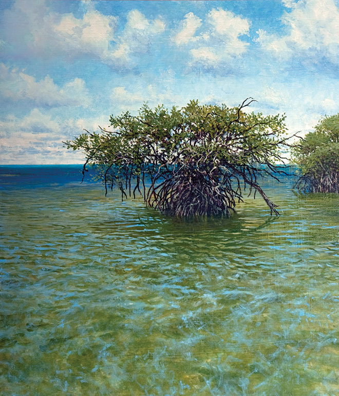 Everglades: "Red Mangrove" 
