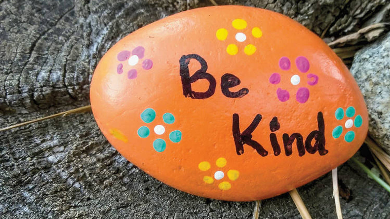 Between a (Kindness) Rock and a Hard Place · National Parks Conservation Association