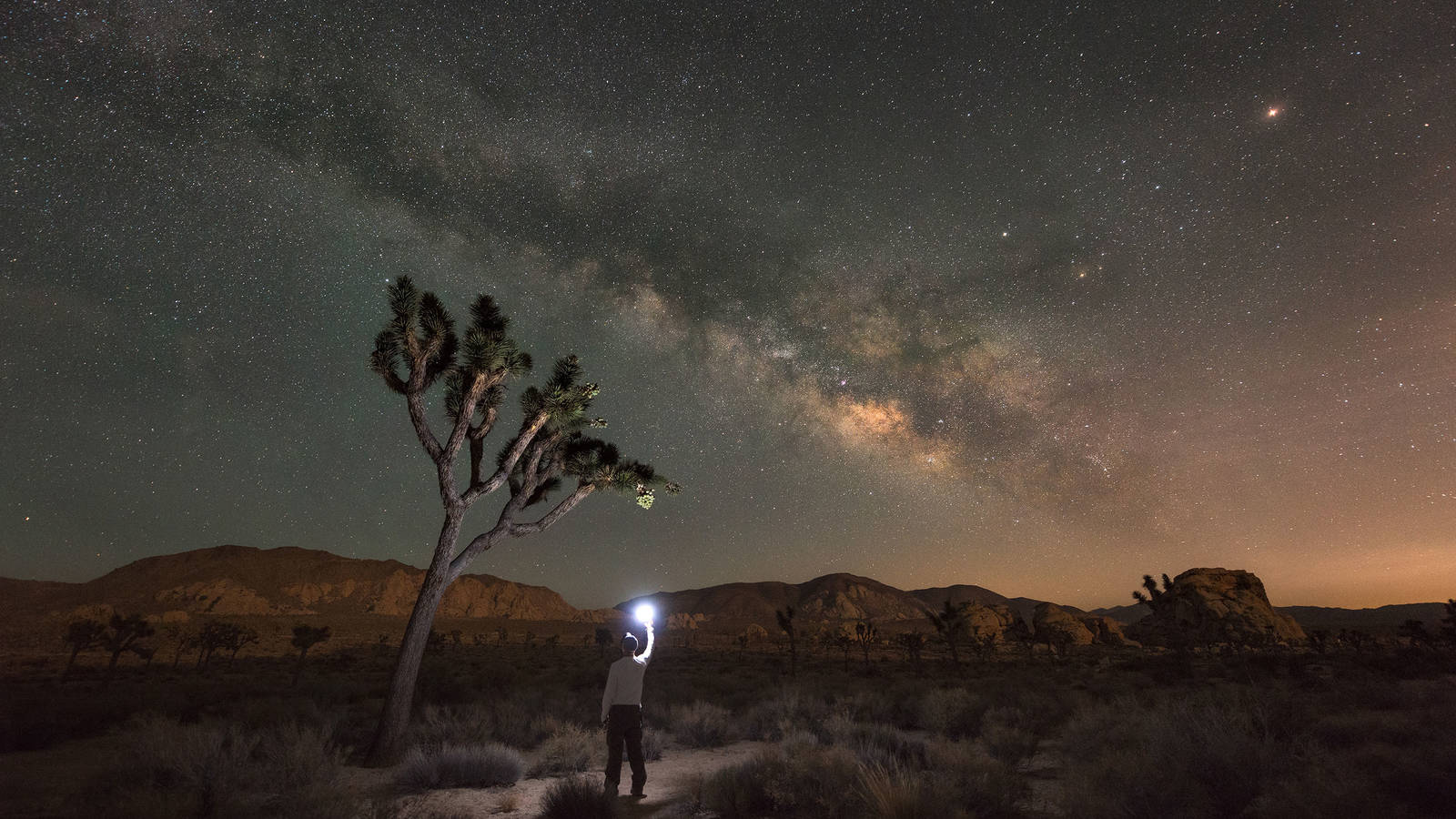 See a Sky Full of Stars at These Certified Dark-Sky Parks · National Parks  Conservation Association