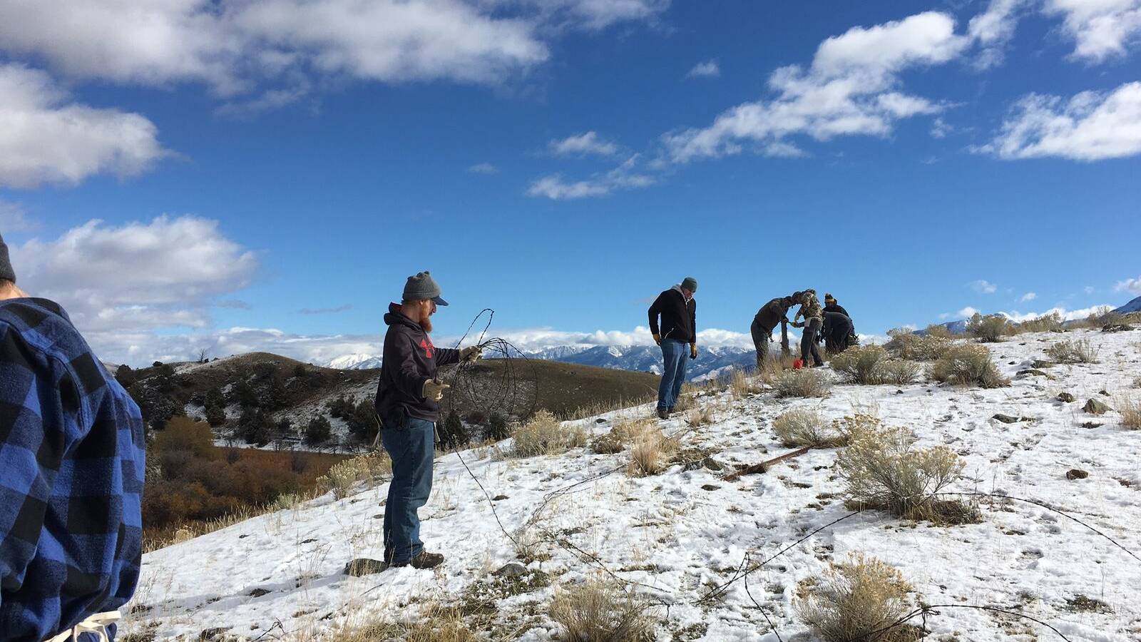 15 veterans from Montana State University worked to protect pronghorn antelope in the Greater Yellowstone Ecosystem by removing more than 2,300 feet of barbed wire fencing that inhibits the pronghorns’ migratory path. 