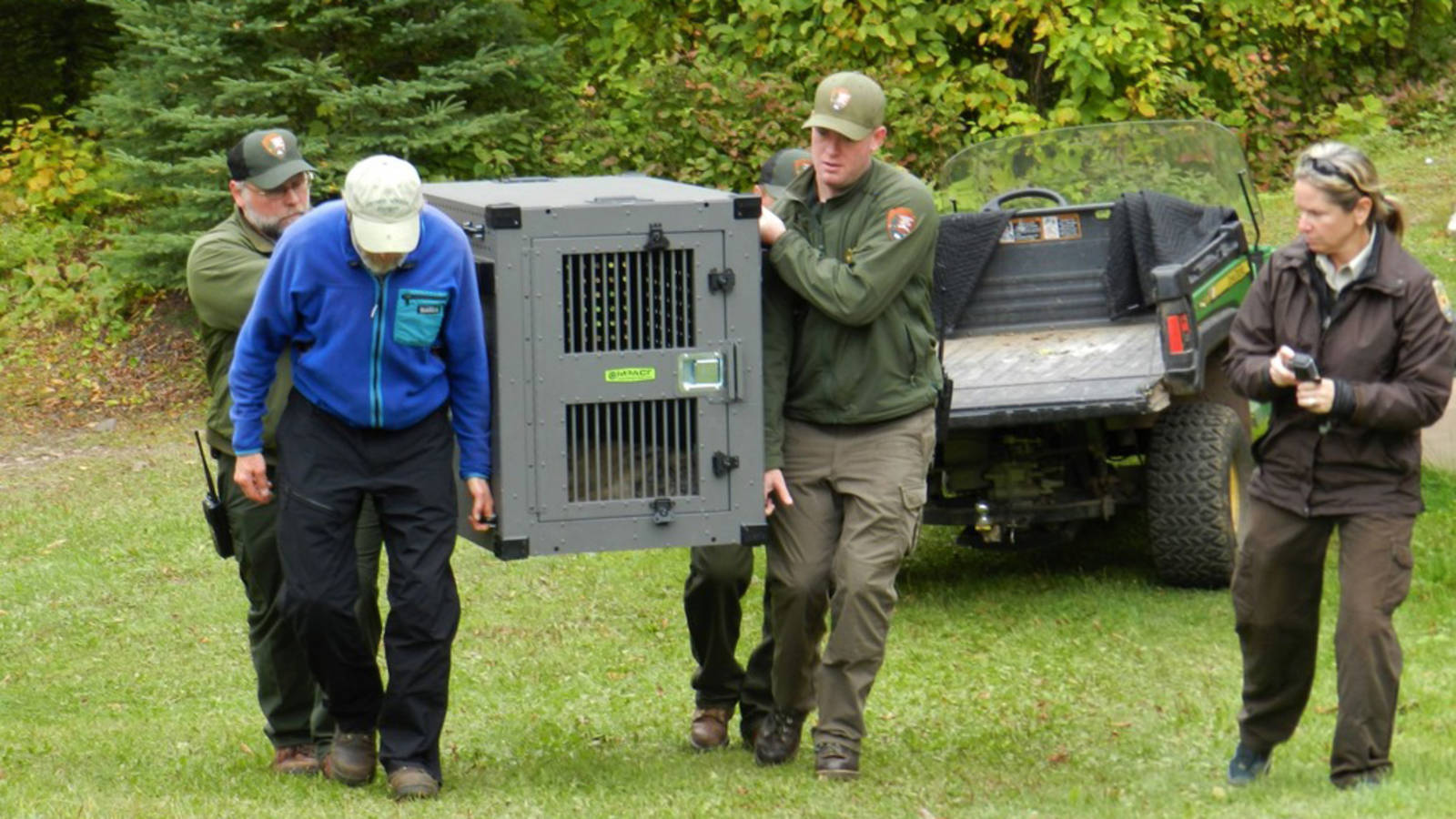 <p>Staff carry the crated wolf to the release site while veterinarian Samantha Gibbs (USFWS) observes.</p>