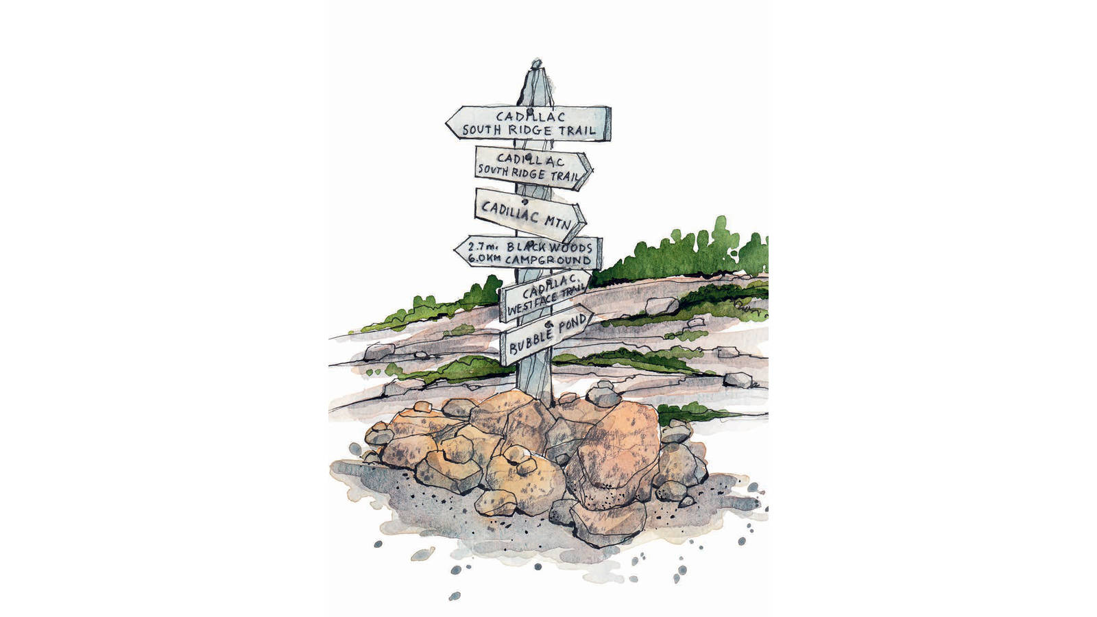 <h3 style="text-align: center; padding: 50px;"><span class="text-Intro-style">Acadia boasts more than 125 miles of hiking trails. Here: A wooden trail sign on Cadillac Mountain.</span></h3>