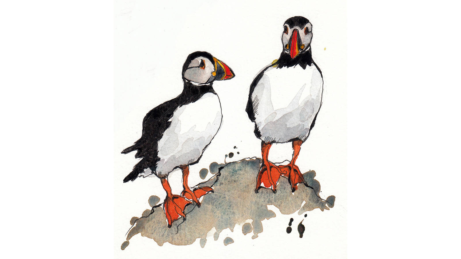 <h3 style="text-align: center; padding: 50px;"><span class="text-Intro-style">We didn’t have time to take a tour boat to see Atlantic puffins, which nest on ocean islands, but I was lucky to see some on a trip to Acadia more than 20 years ago.</span></h3>