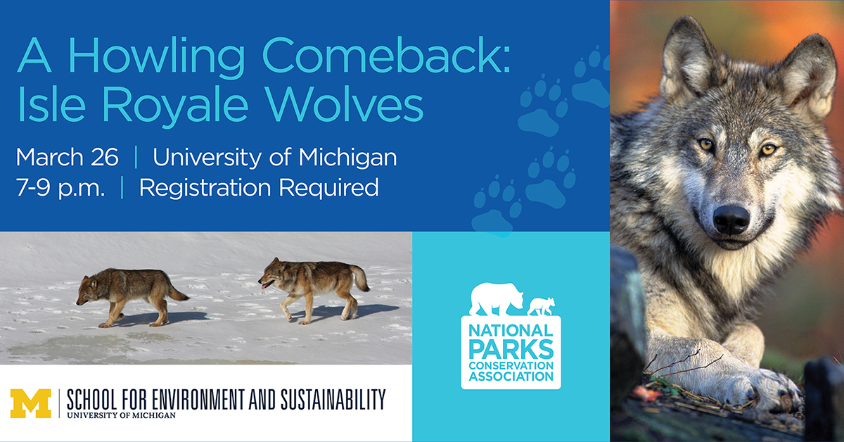 Top scientists talk Isle Royale wolves · National Parks Conservation ...
