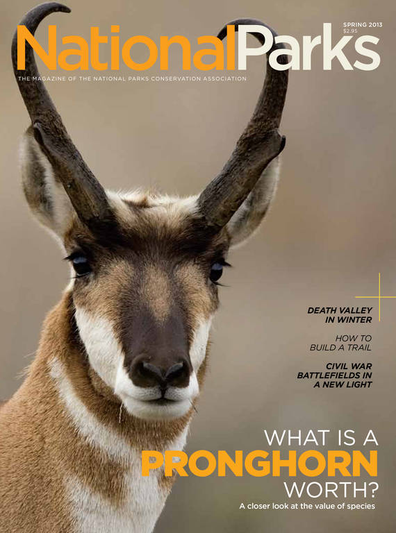Spring 2013 magazine cover
