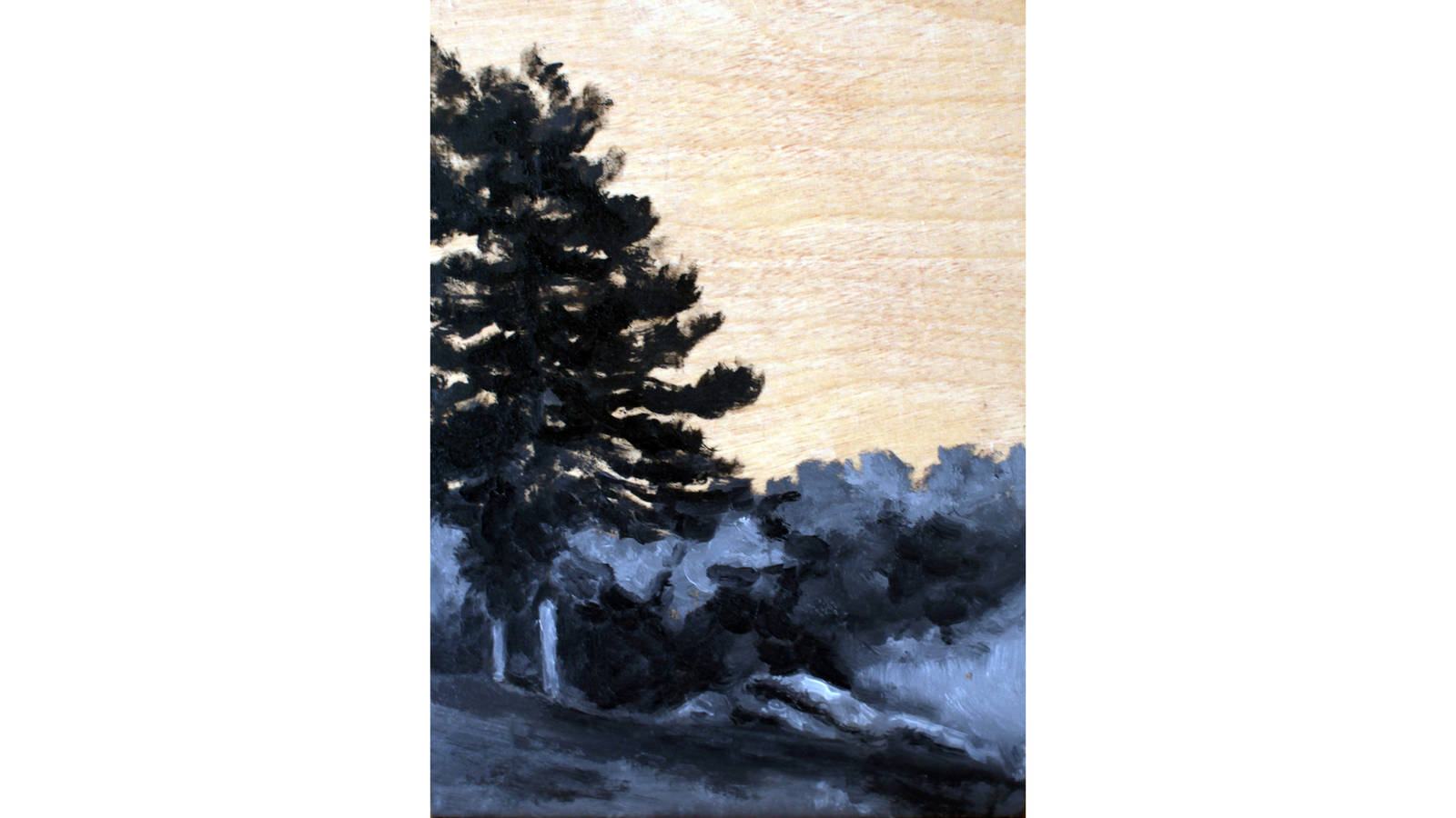 <h3 style="text-align: center; padding: 50px;"><span class="text-Intro-style">Hot Springs National Park, Arkansas. Black and white oil paint on wood, 2016.</span></h3>