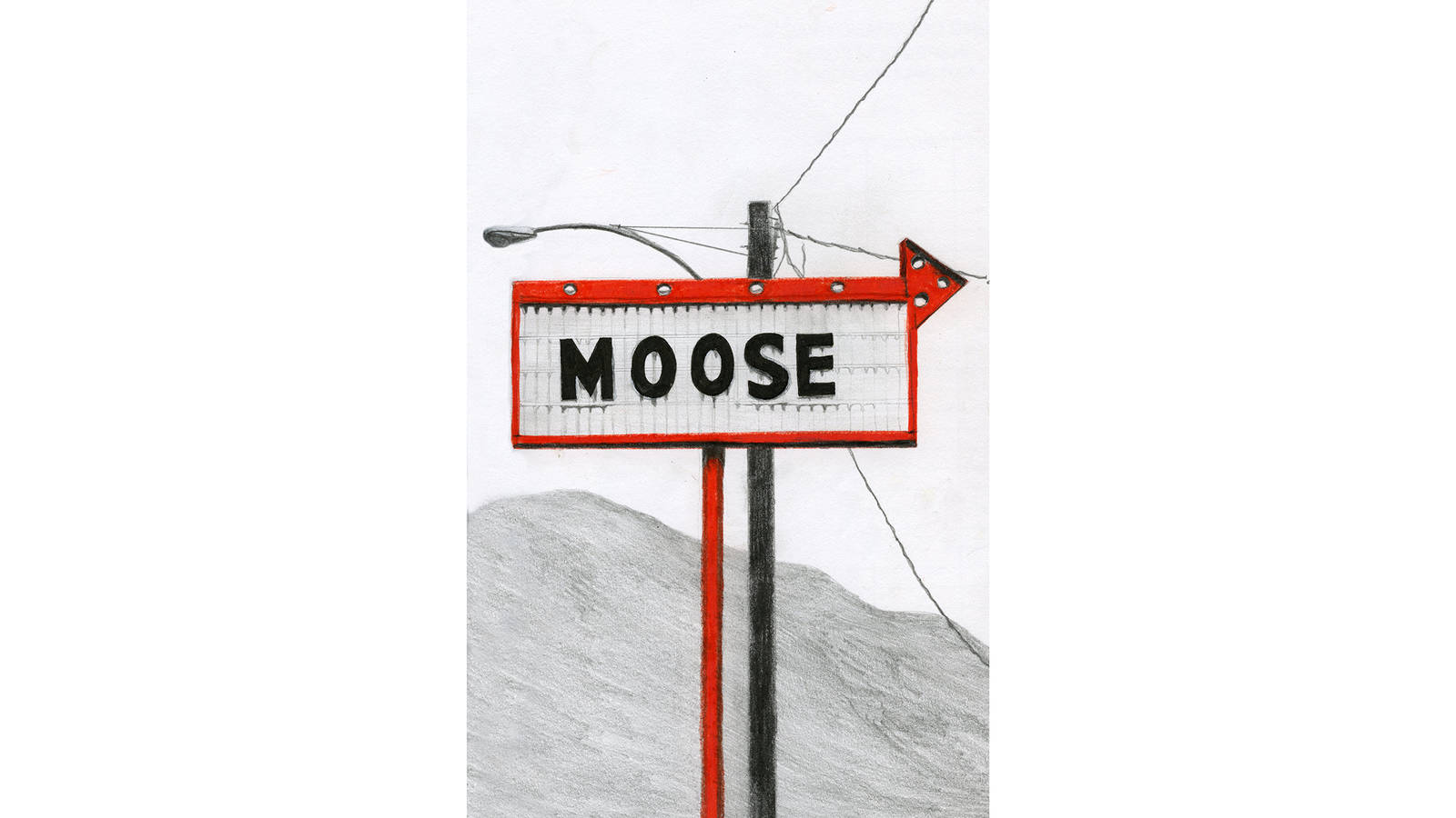 <h3 style="text-align: center; padding: 50px;"><span class="text-Intro-style">A sign Heckel spotted near the southern end of Lake Roosevelt in Lake Roosevelt National Recreation Area. Graphite and colored pencil on paper, 2017.</span></h3>