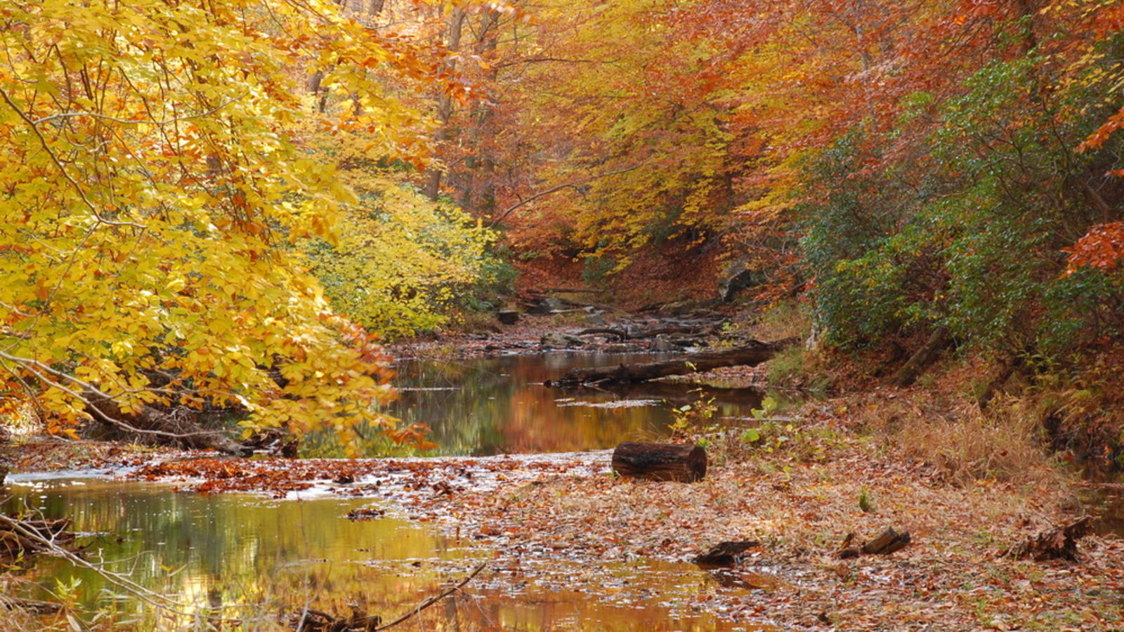 Keep Massive Industrial Data Centers Away from our National Parks ...