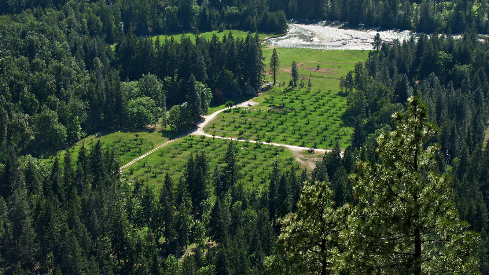 <p>Buckner Orchard in the North Cascades is an irresistible temptation for area wildlife and a challenge for its caretaker. Laurie Thompson relies on a complicated system of fences and gates to keep out elk and bear while allowing summer access to deer. </p>