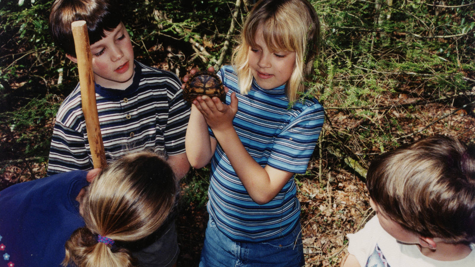 <p>Logan shows a box turtle to her sister and friends. </p>