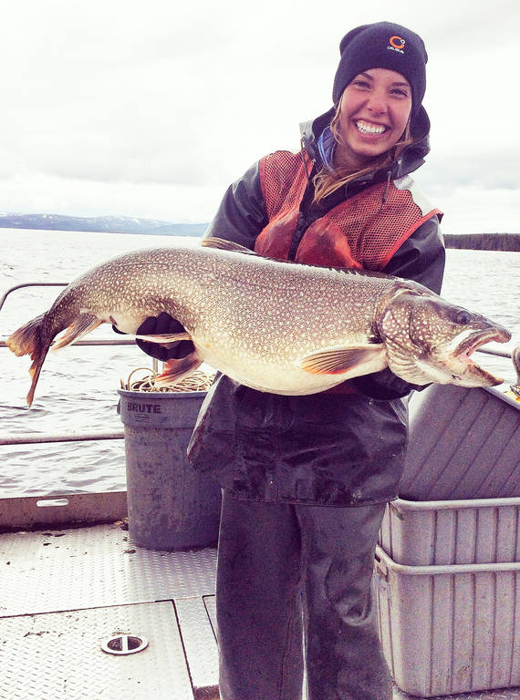 <p>An intern with the Student Conservation Association holds a lake trout removed from Yellowstone waters. Lake trout in the area can weigh up to 50 pounds.</p>