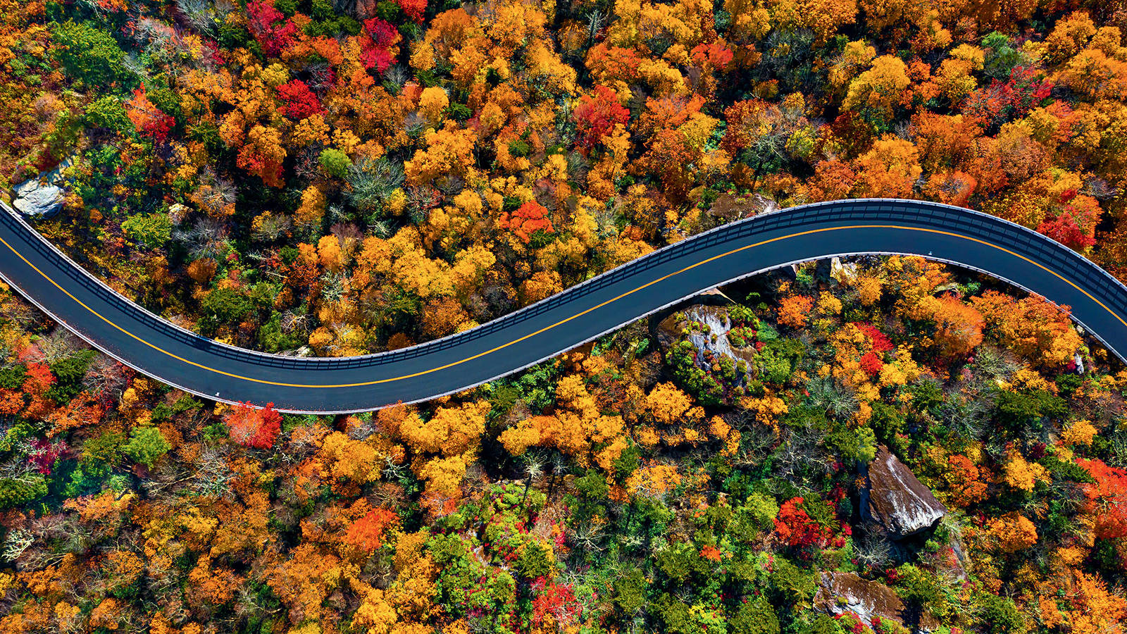 <p>Blue Ridge Parkway</p>