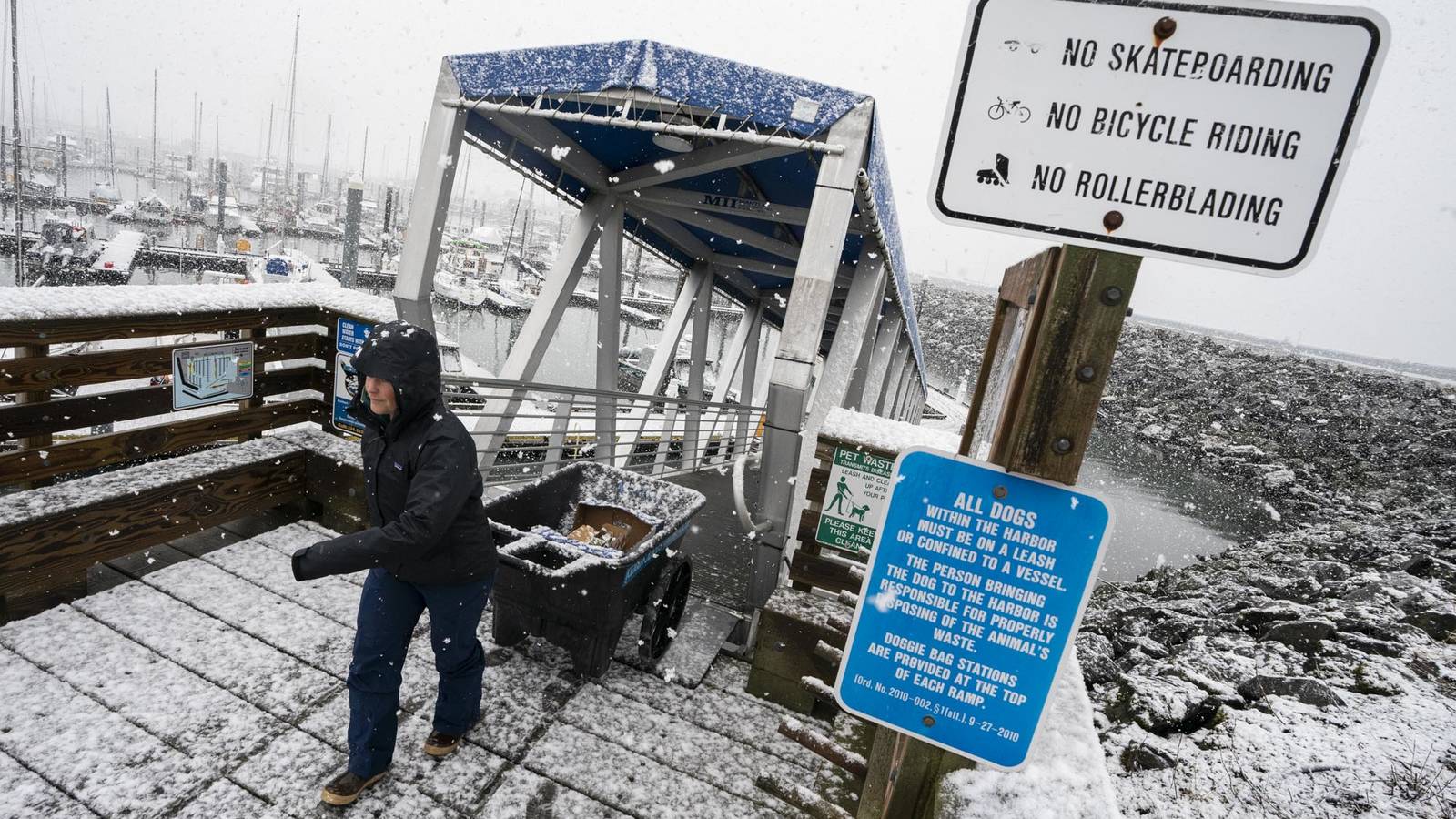 <p>Erin Griffith pulls a cart along the docks of Seward Boat Harbor. The friends’ gear will be stowed in their chartered sailboat, Madrona. Because most of Kenai Fjords National Park is roadless, those visitors not restricting themselves to Exit Glacier (the only spot accessed by car) must arrive by boat or plane.</p>