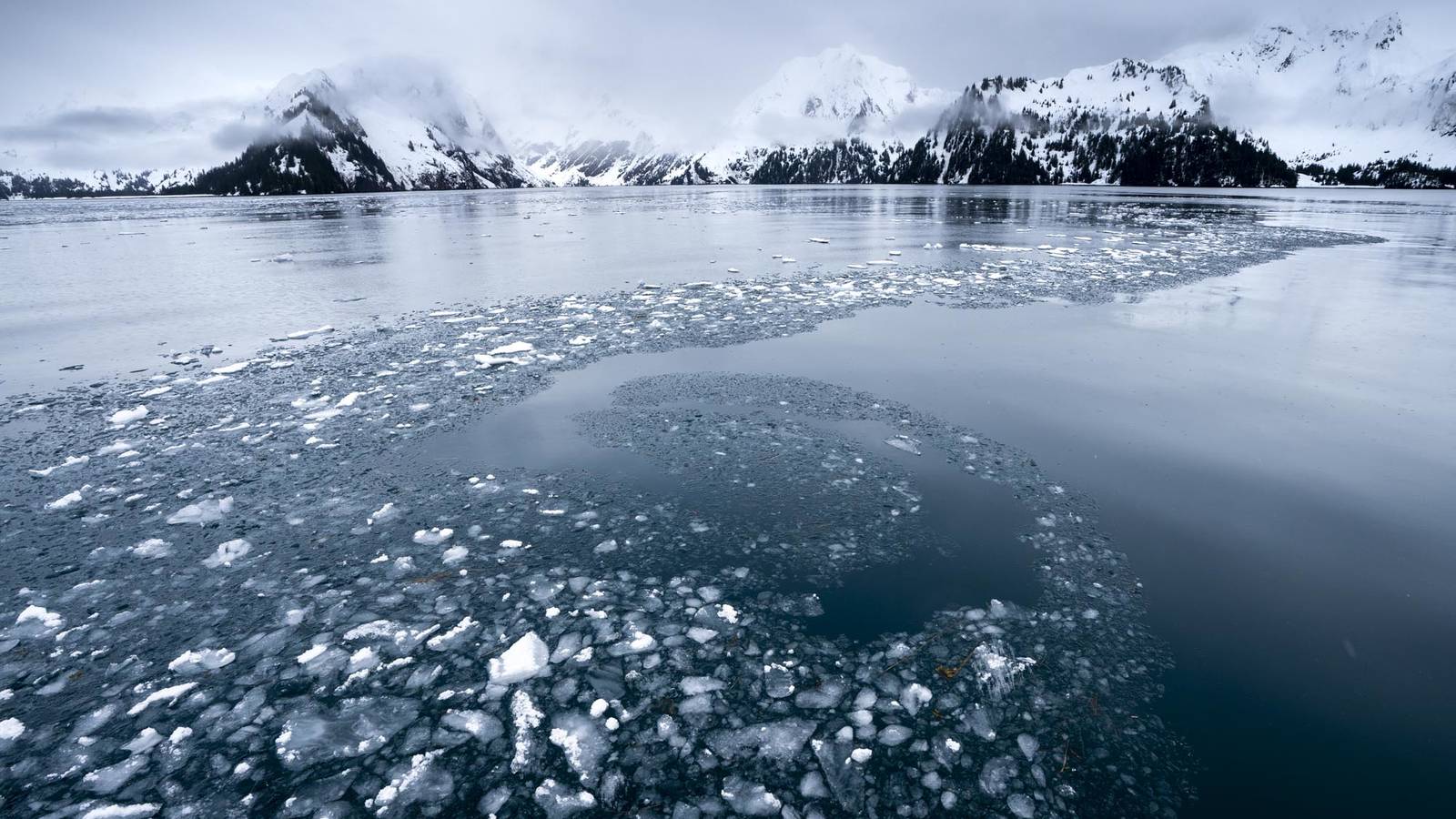 <p>Swirling ice on Aialik Bay. </p>