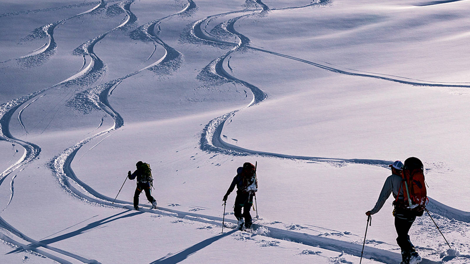 <p>Members of the group retrace their tracks as they head back up to the peak. Over the course of six days, they climbed over 19,000 feet of elevation on their skis.</p>
<p> </p>