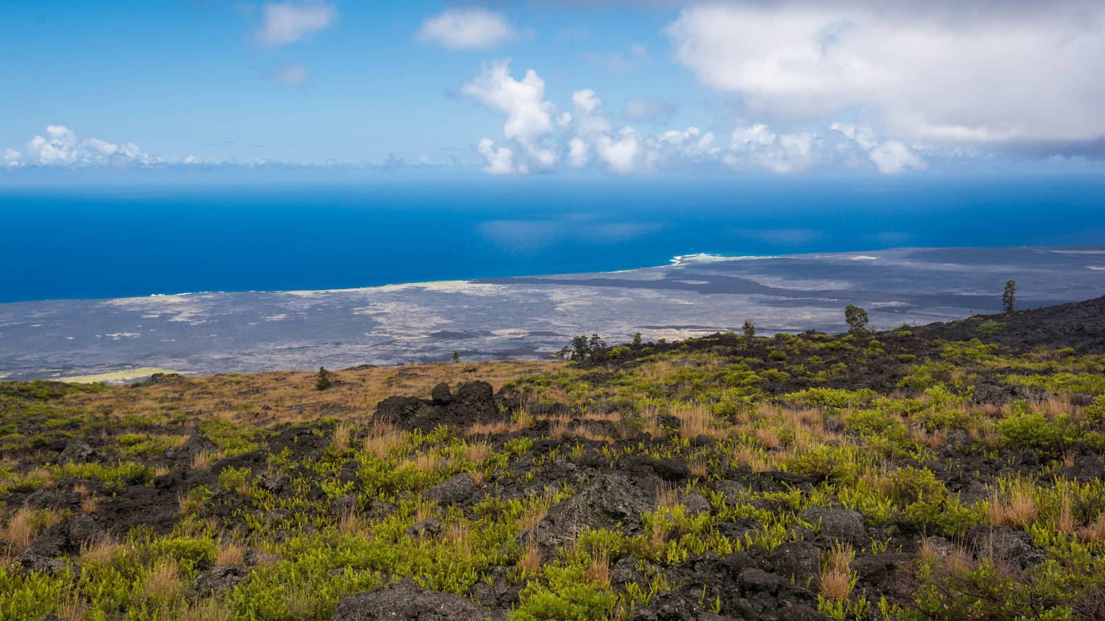 Home, Home on the 'Āina · National Parks Conservation Association - Vimarsana News