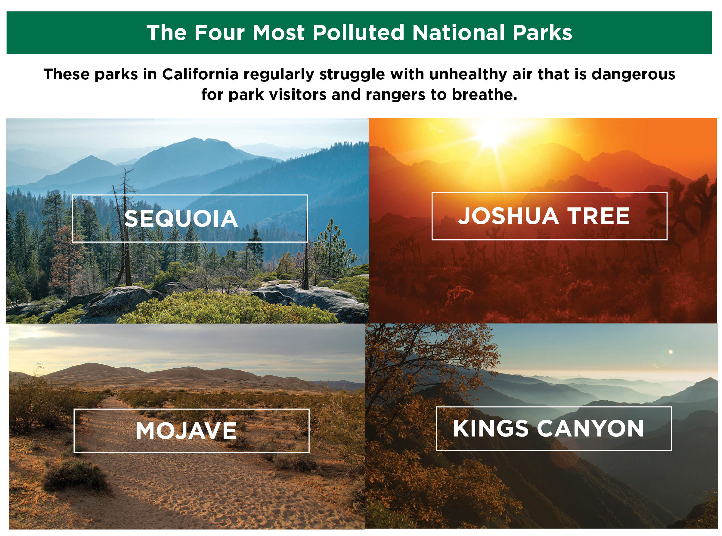 4 Most Polluted Parks