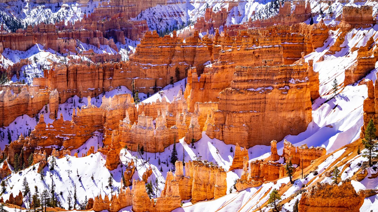 <p>Bryce Canyon National Park in the snow</p>