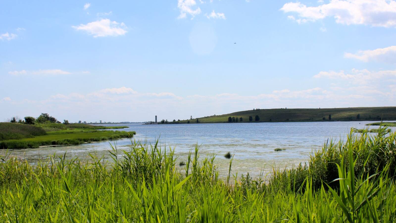 <p>Jamaica Bay Wildlife Refuge, looking north at Shirley Chisholm State Park in Gateway National Recreation Area</p>