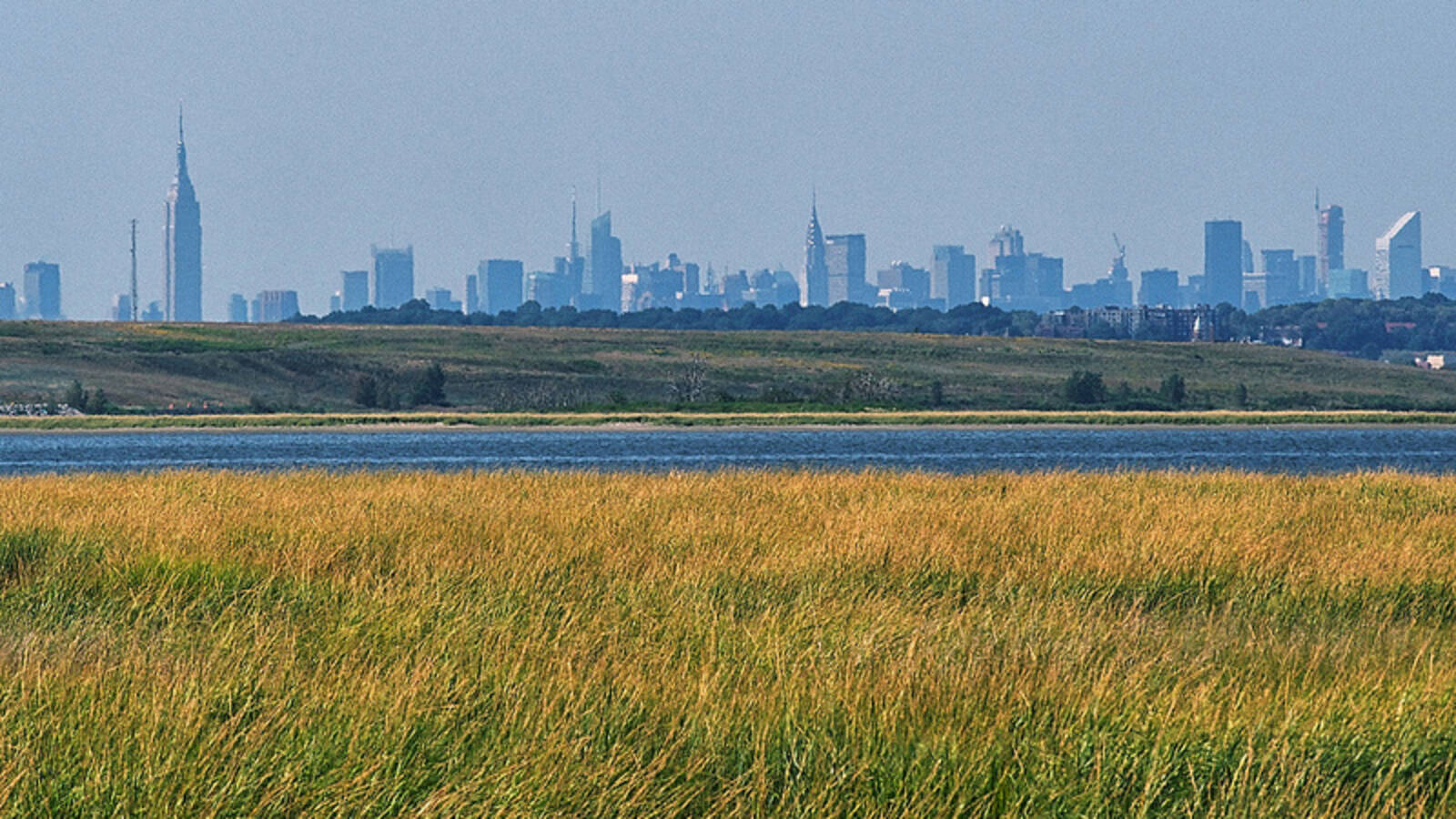 <p> Jamaica Bay salt marshes, with the NYC skyline in the background</p>