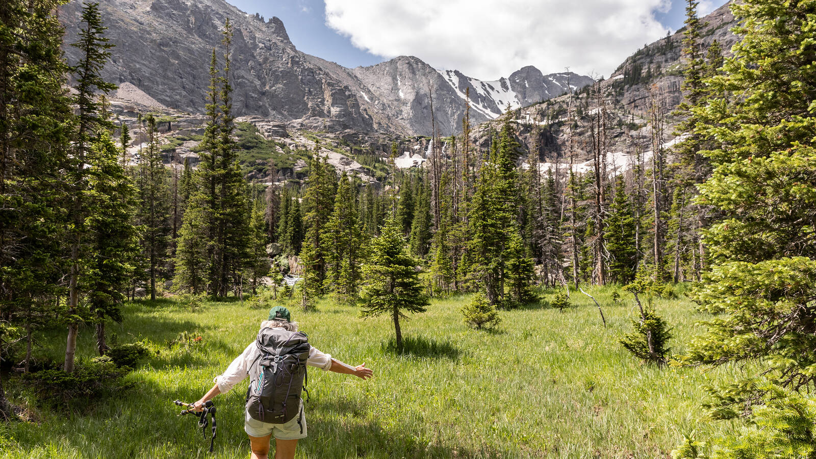 National Park Service Identifies 'Preferred Alternative' to Restore Grizzly  Bears to the North Cascades · National Parks Conservation Association