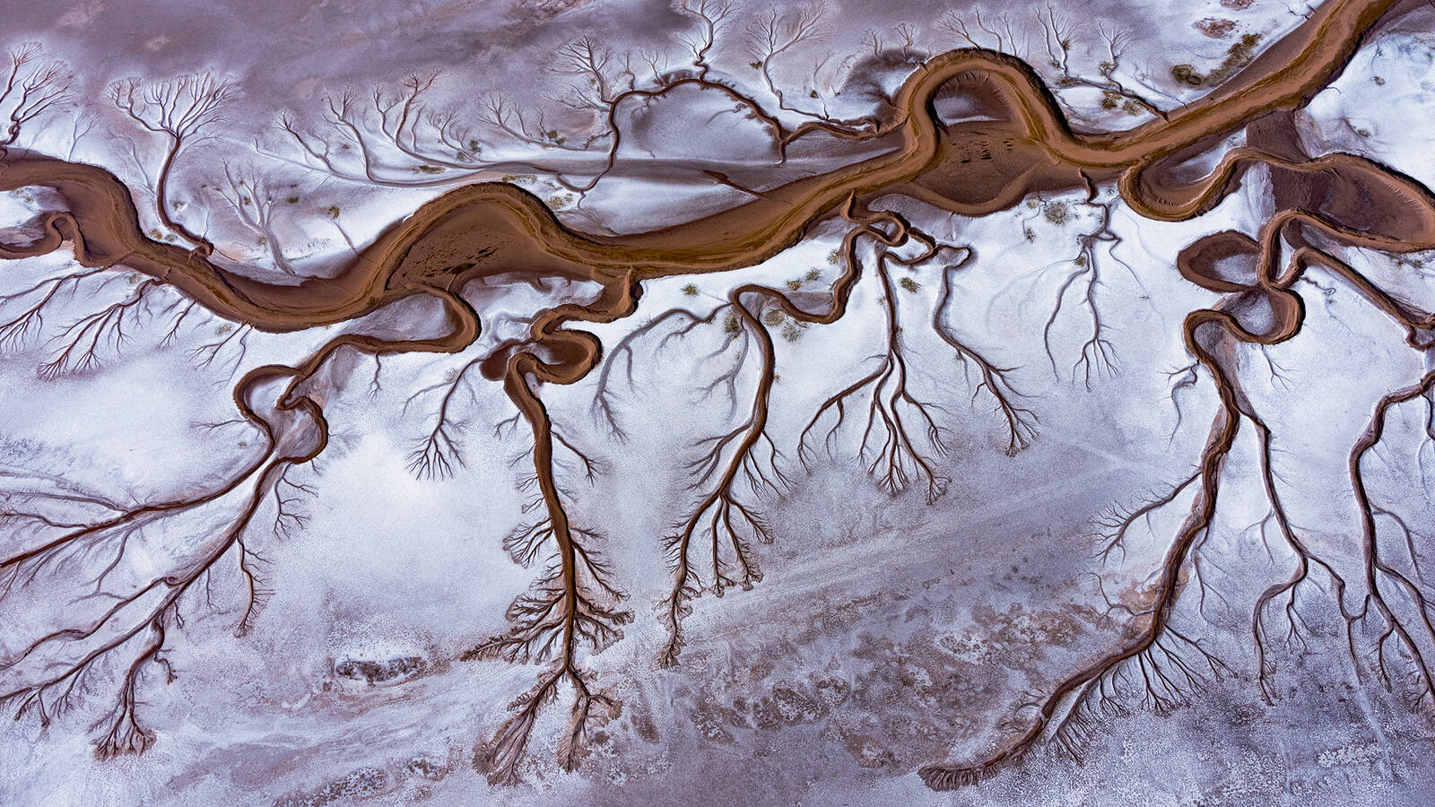 <p>The dry, salt-encrusted Colorado River delta. Pete McBride said he was drawn to the exquisiteness of nature in photos such as this one, but he thinks readers can learn something from these images. “It’s not just normal beauty. It’s sort of a lost, dead beauty,” he said on NPCA's podcast. The river hasn’t flowed naturally all the way to the Sea of Cortez in Mexico in decades.</p>
