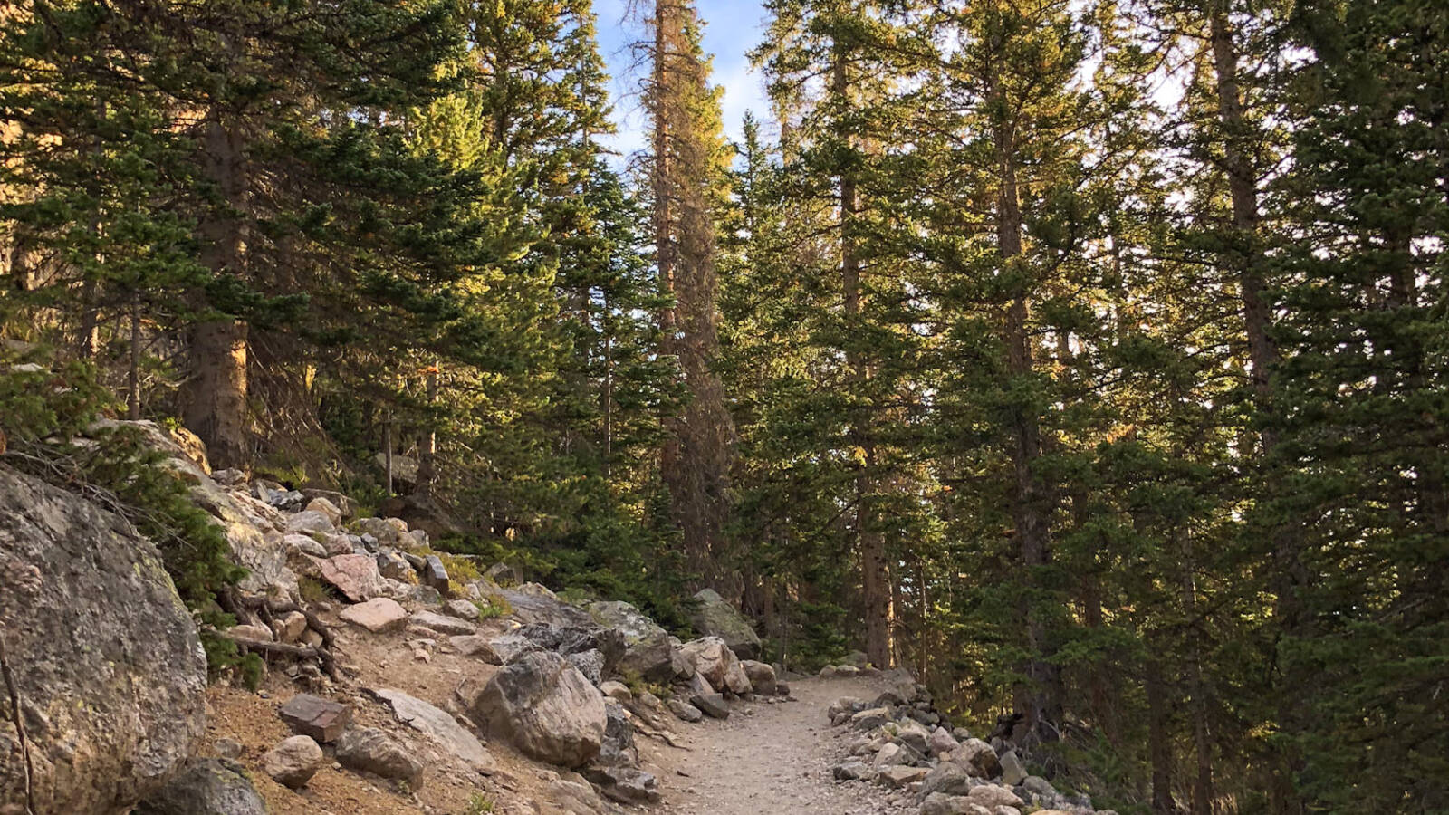 <p>Stay on trail when you're exploring Rocky Mountain National Park to ensure you're protecting wildlife and their habitats.</p>