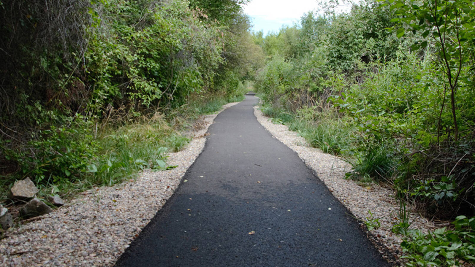 <p>Repaved trail through Cherry Spring Nature Area in Caribou-Targhee National Forest in Idaho. The rehabilitation of the trail included widening the path to improve accessibility for those with disabilities.</p>