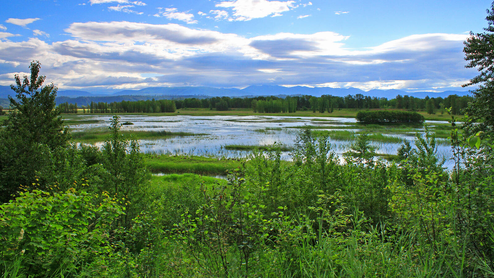 <p>Habitat restoration at Kootenai National Wildlife Refuge in Idaho. Funding helped restore water structures and remove invasive species from the refuge to support hundreds of species of waterfowl that use the refuge to rest, feed and raise their young.</p>