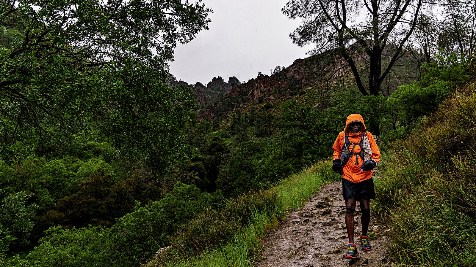 <p>Condor Gulch Trail winds past a rampart of spires looming around 1,000 feet above the valley floor. A wildlife biologist suggested the author hike the trail to the High Peaks to find condors. The advice was spot-on.</p>