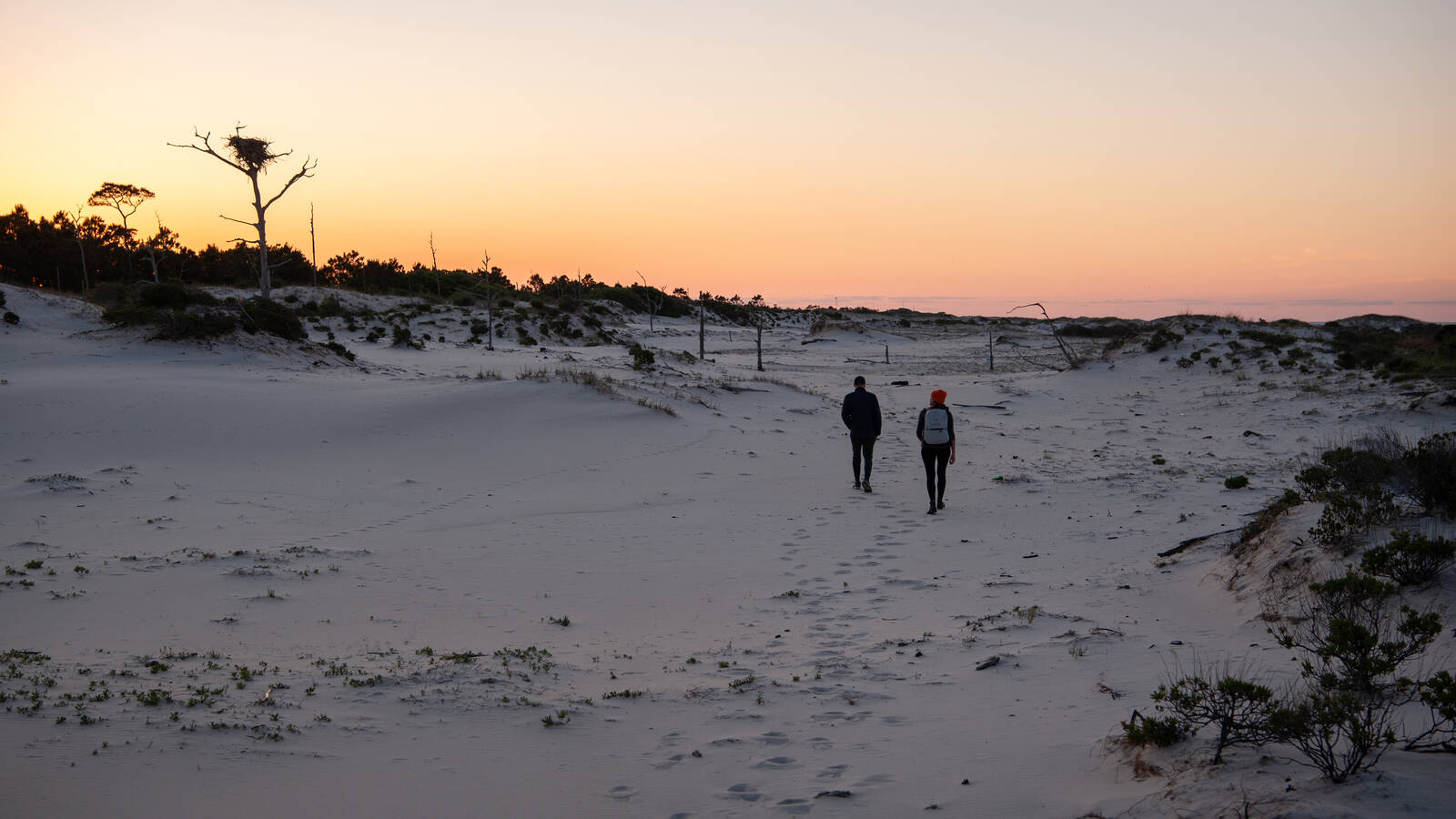 <p>Exploring the island at dusk.</p>