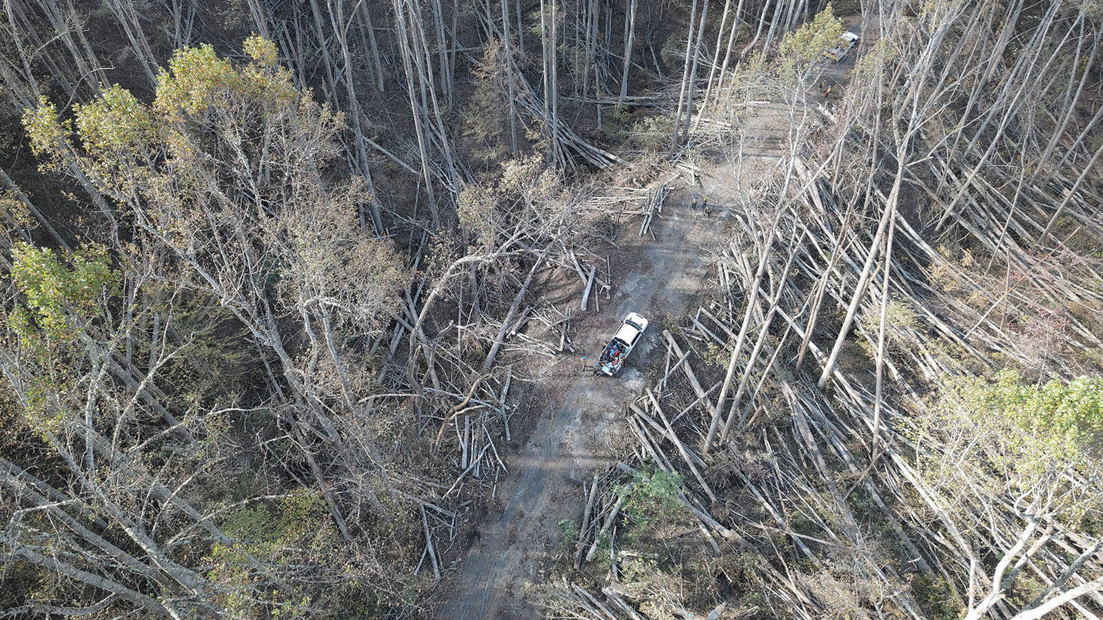 <p>An aerial view of downed trees along the Blue Ridge Parkway at milepost 318 after Hurricane Helene. </p>