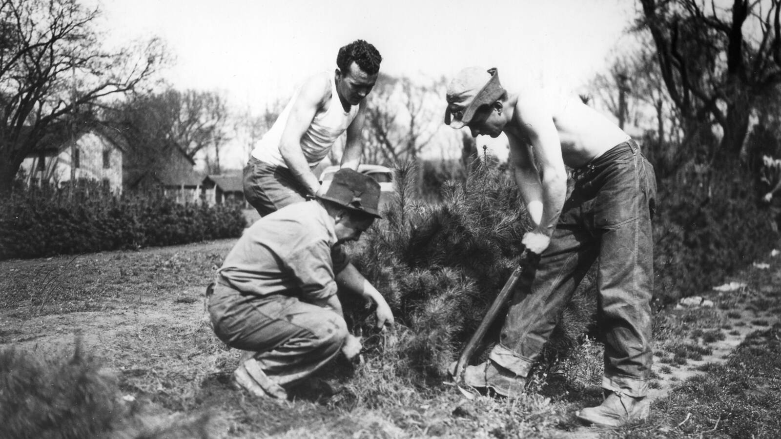 <p>Tree planting by Civilian Conservation Corps members in 1934 at Cuyahoga Valley National Park.</p>