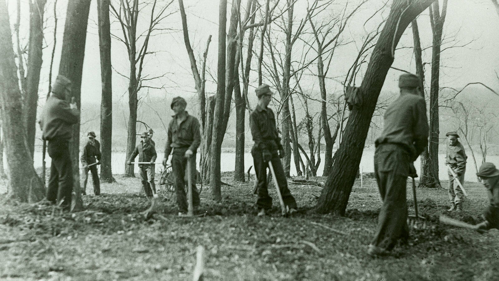 <p>Civilian Conservation Corps clearing brush between trees on Theodore Roosevelt Island in Washington, D.C. </p>