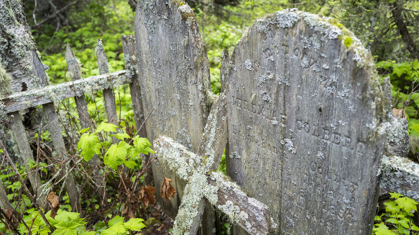 <p>Tombstones on Cemetery Island dating back to the 19th century.</p>