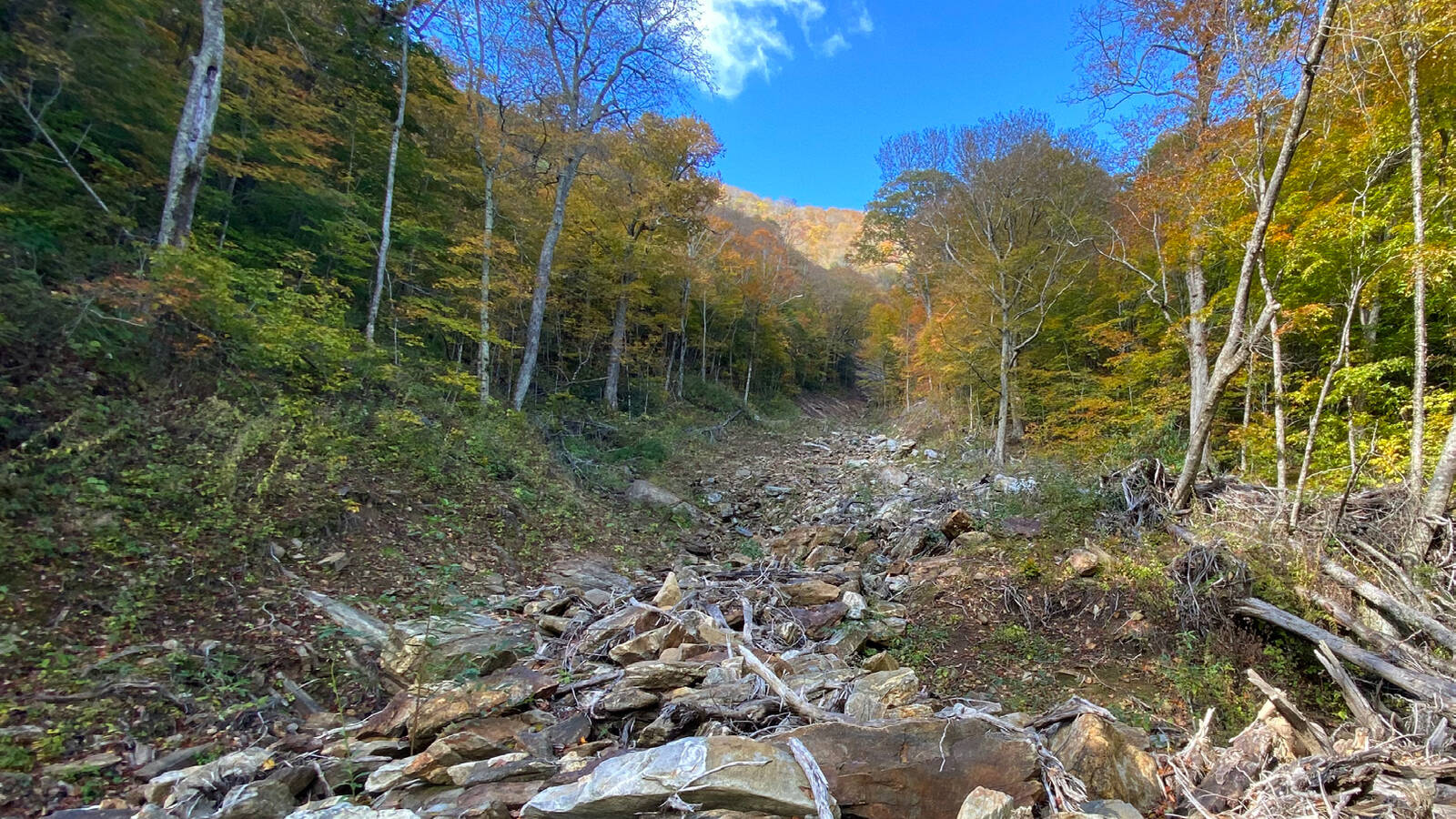 <p>A dried stream near Snowball Mountain in Craggy Wilderness. The area has pristine watersheds and trout streams that support clean water and recreation activities.</p>