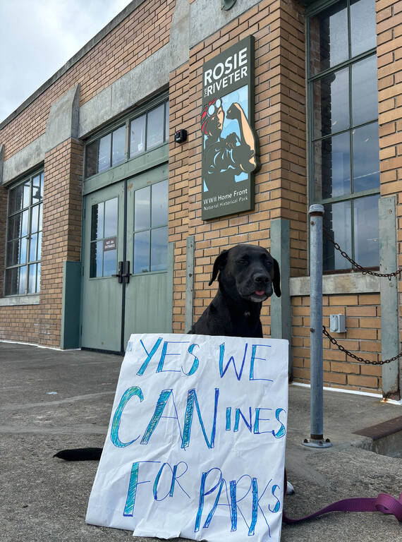 <p>A park-loving dog shows support at a rally at Rosie the Riveter World War II Home Front National Historical Park in California. </p>