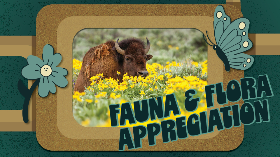 Fauna & Flora