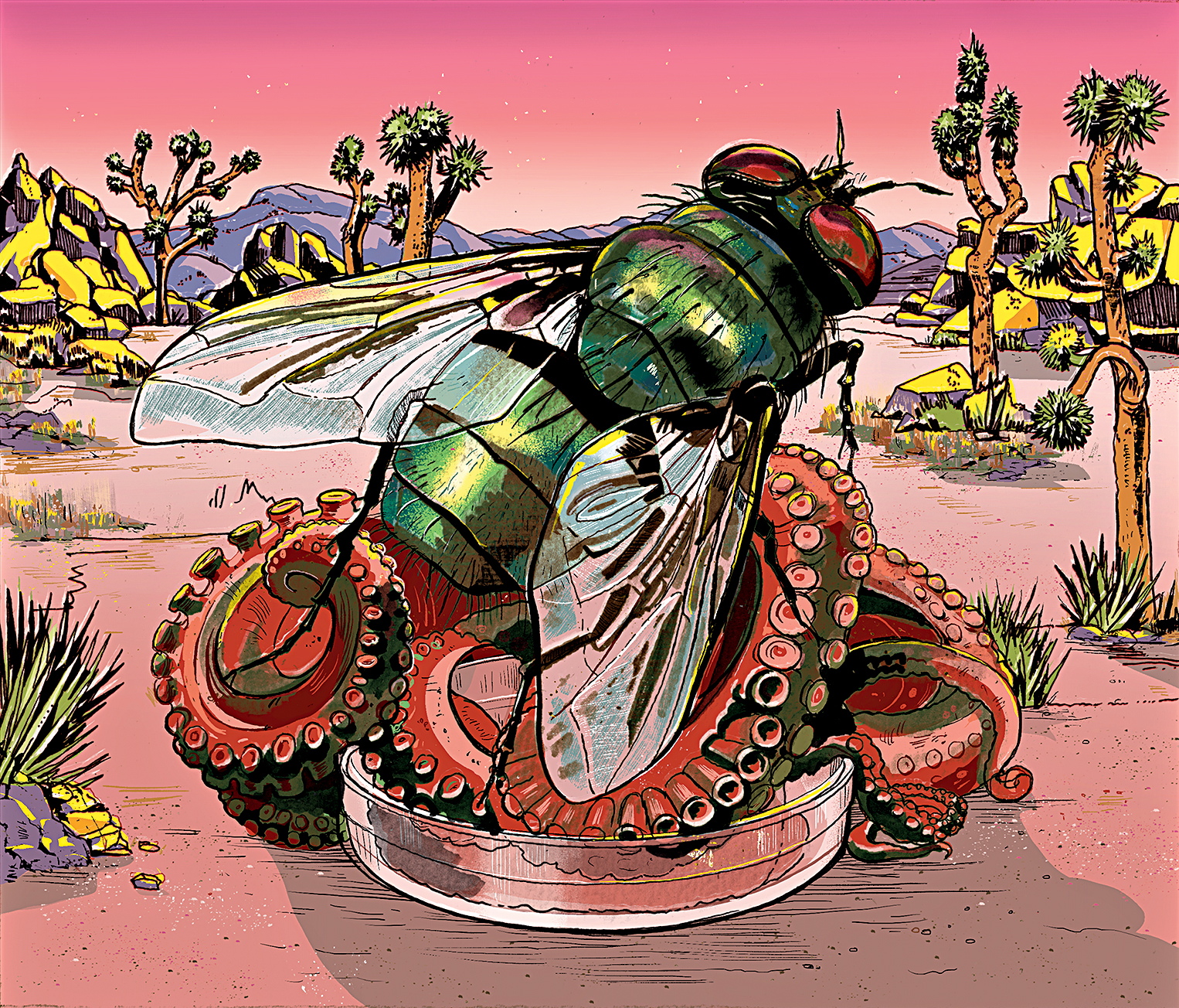 illustration