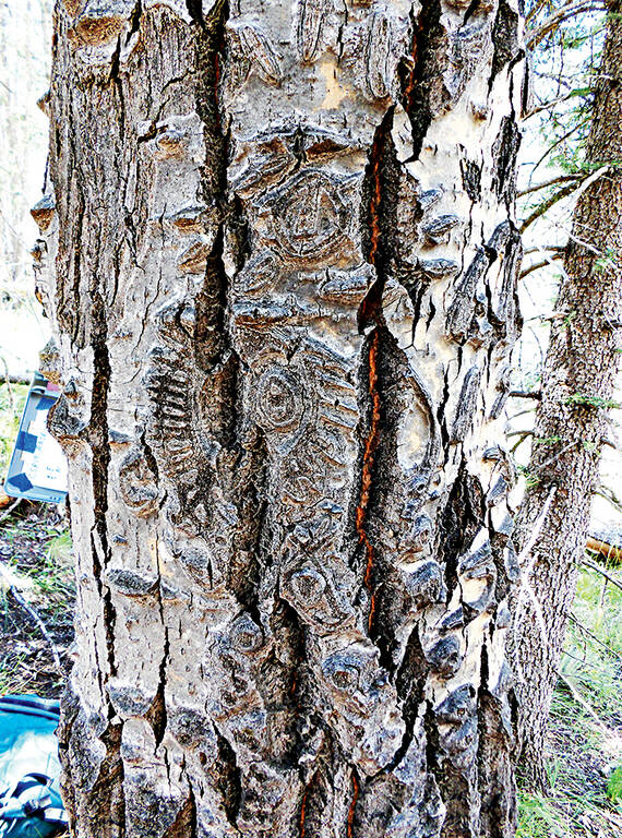 <p>A carving interpreted to represent the Virgin of Guadalupe.</p>