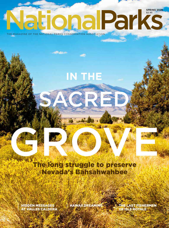 Spring 2026 magazine cover