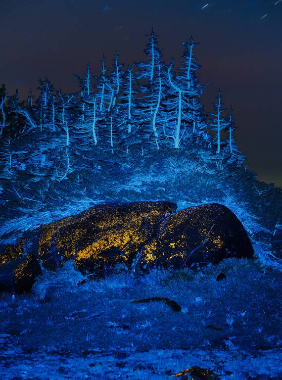 <p>Mount Rainier National Park.</p>