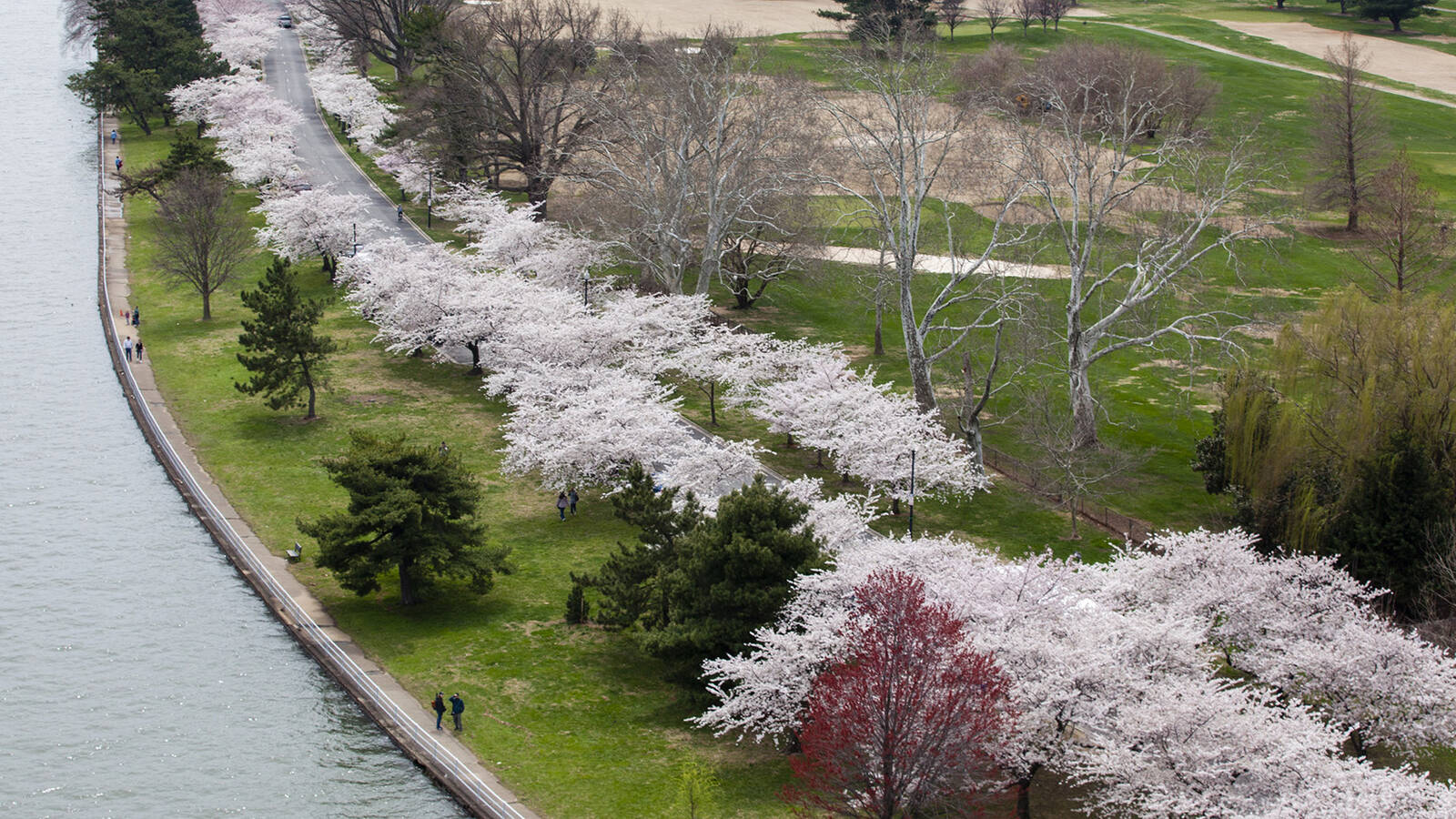 <p>East Potomac Park, where Washingtonians have played golf affordably for generations. Proposed changes could threaten the park's accessible, community-serving purpose. . </p>