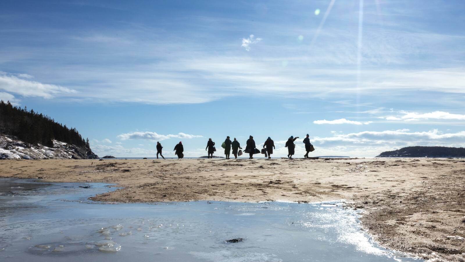 <p>A group of dippers returns from a wintry plunge in Acadia.</p>