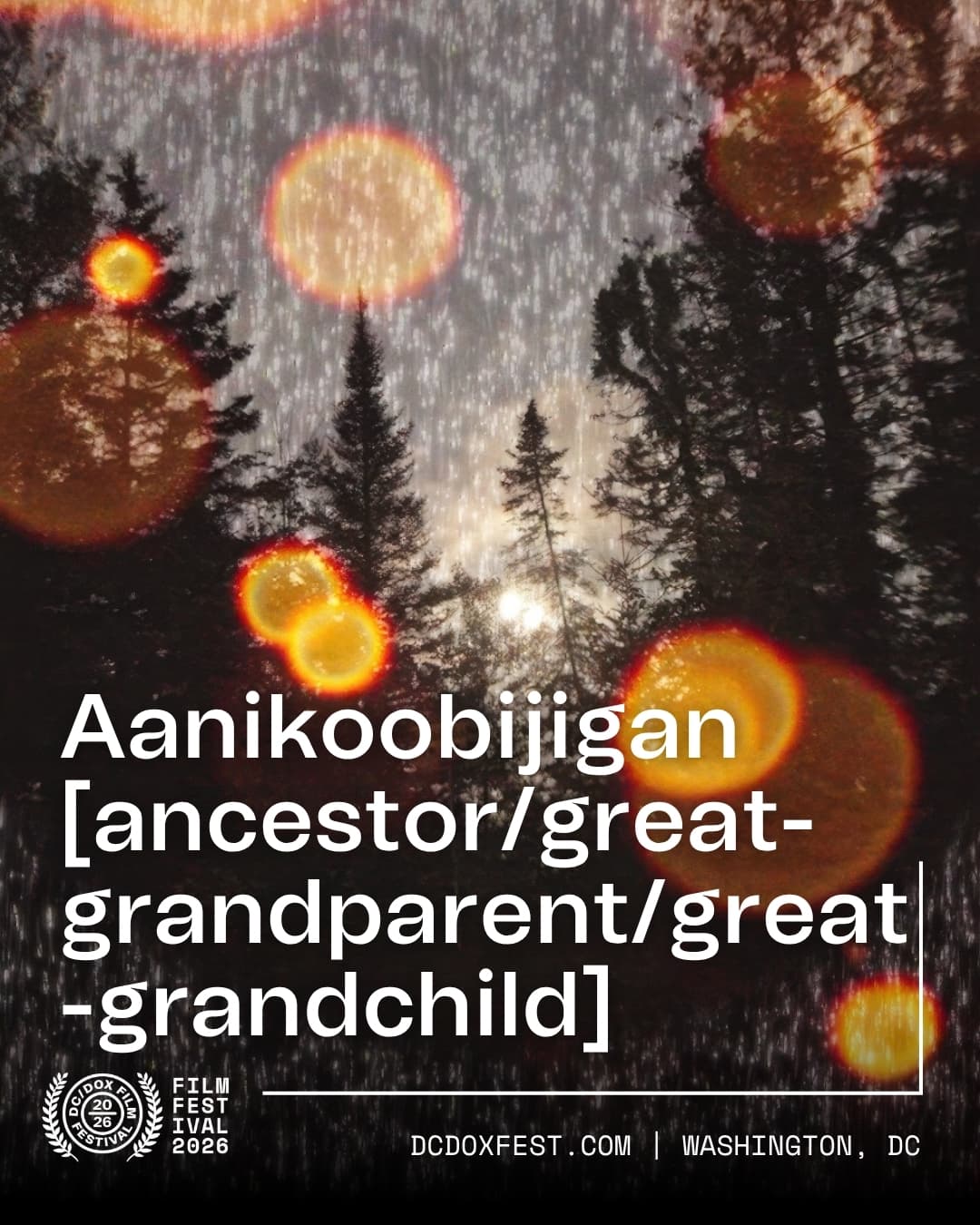 Aanikoobijigan [ancestor/great-grandparent/great-grandchild] Screening at DC/DOX