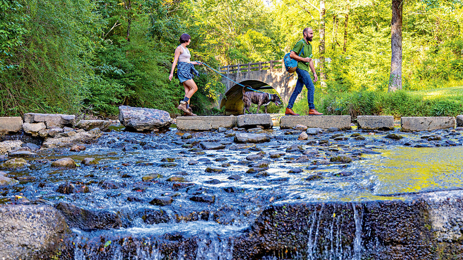 <p>Gulpha Creek flows beside the park’s sole campground. Crossing it affords access to many of the trails east of town.</p>