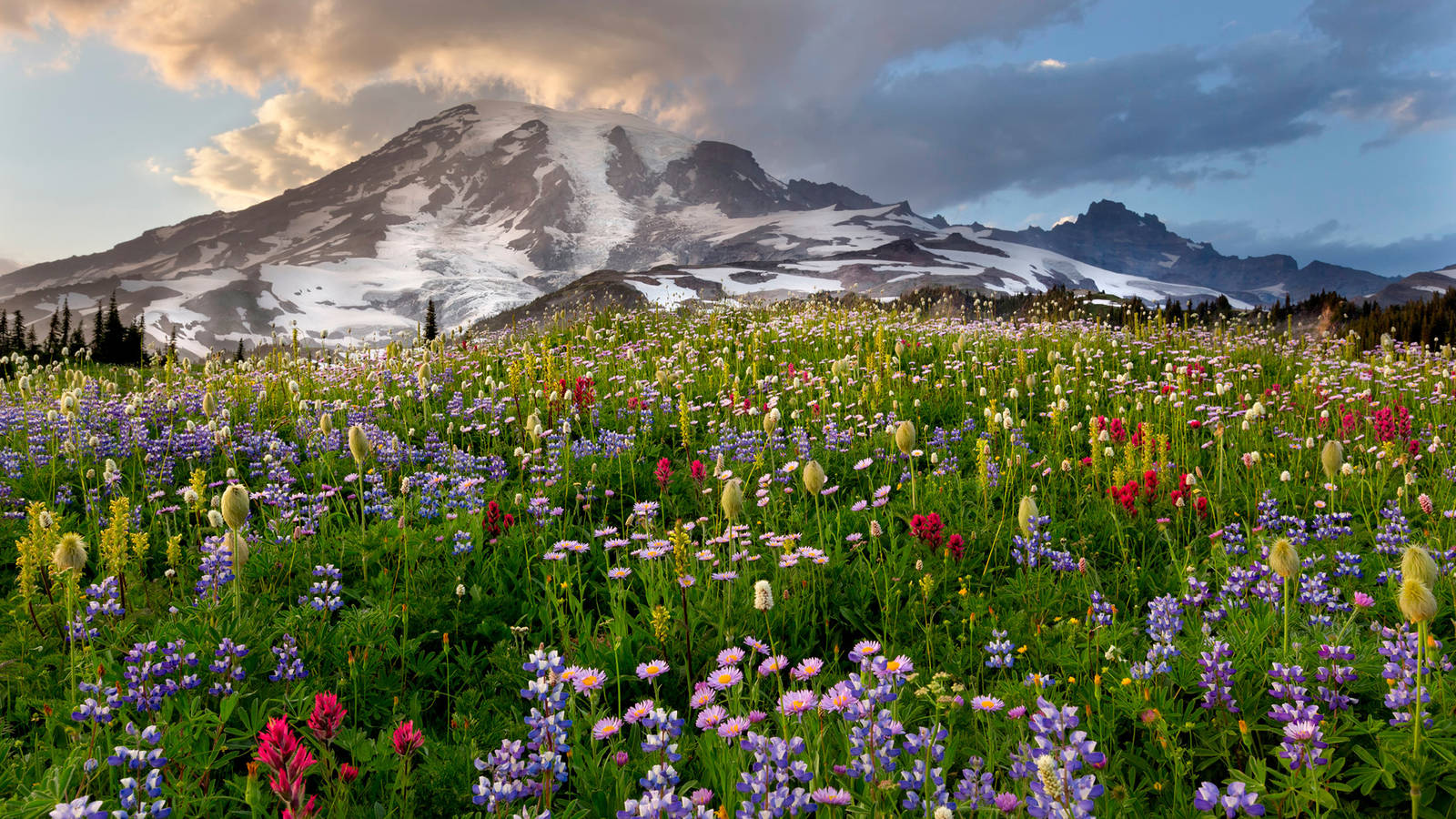 Mount Rainier . National Parks Conservation Association1600 x 900