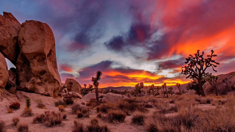 How Is The Partial Government Shutdown Affecting National Parks ...